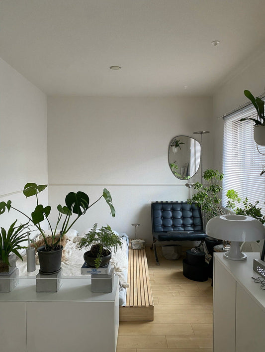 17 Modern Contemporary Small Living Room Ideas to Copy