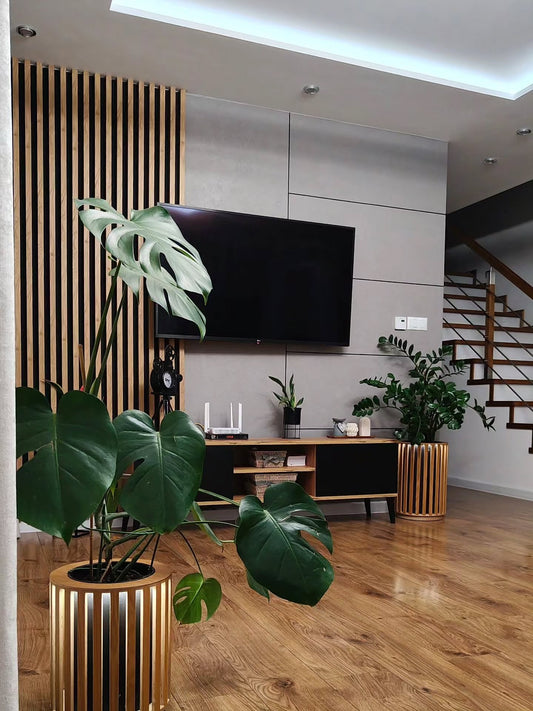 17 Fresh Living Room Ideas With Indoor Plants