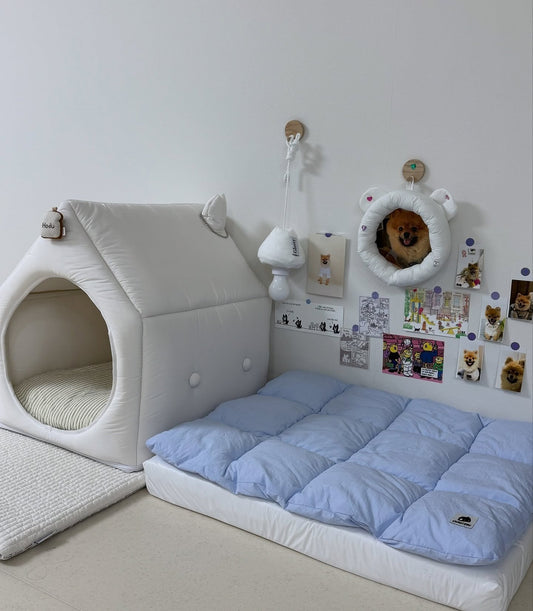 17 Chic Dog Bedroom Ideas 2026
