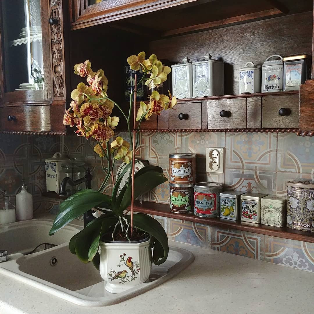 Old Style Kitchen Design Ideas